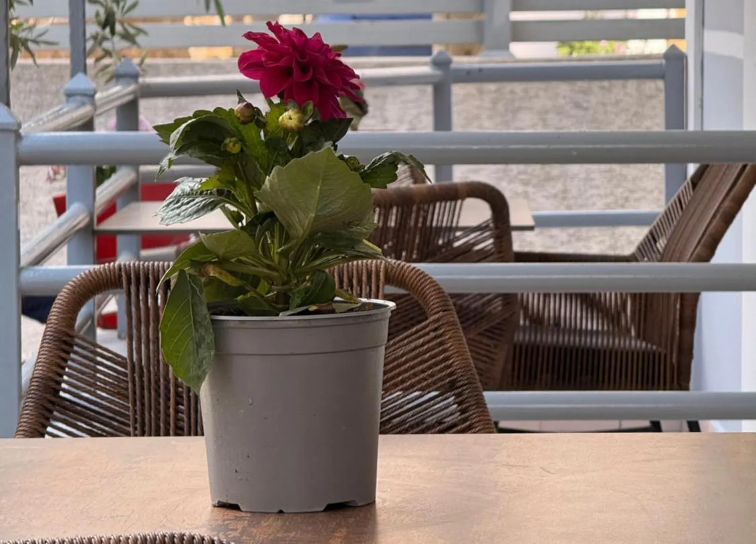 Apartamento Apartments&Studios ARDIAN-MANDI Sarandë